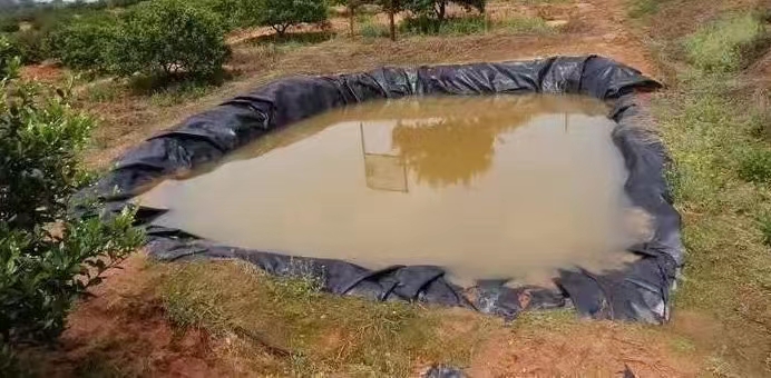 果園蓄水池防滲膜鋪設